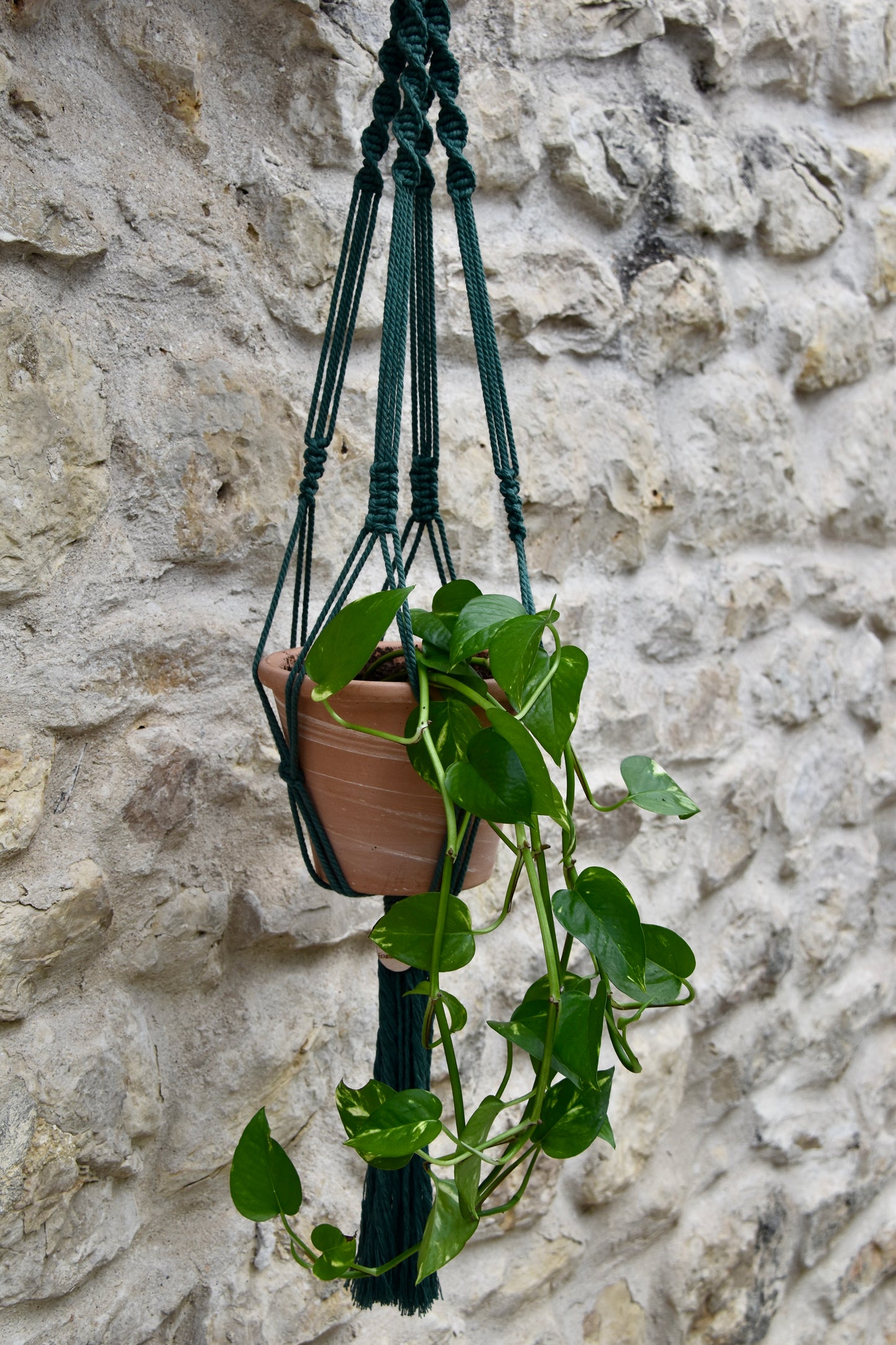 Suspension en macramé pour plantes