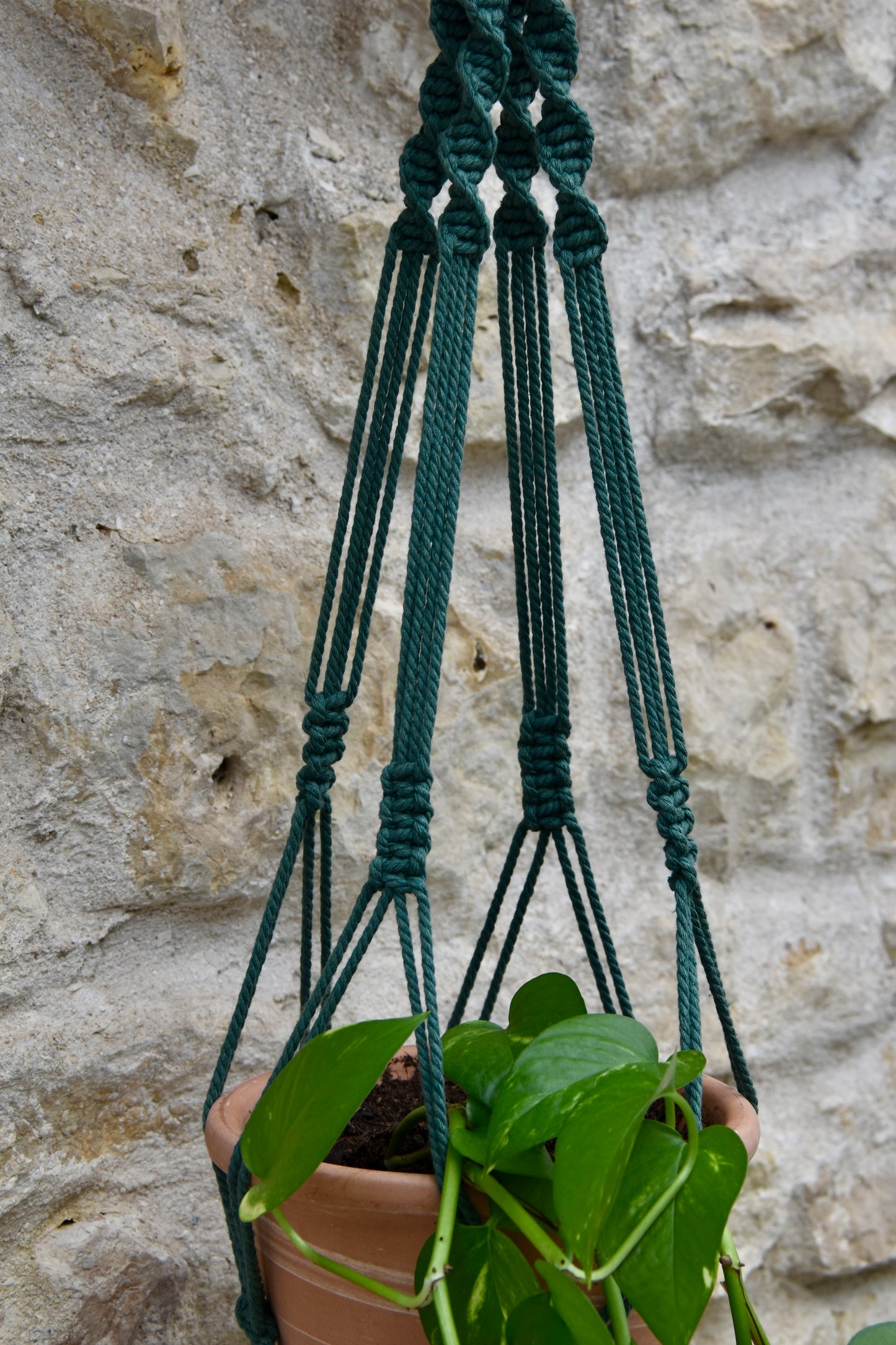 Suspension en macramé pour plantes