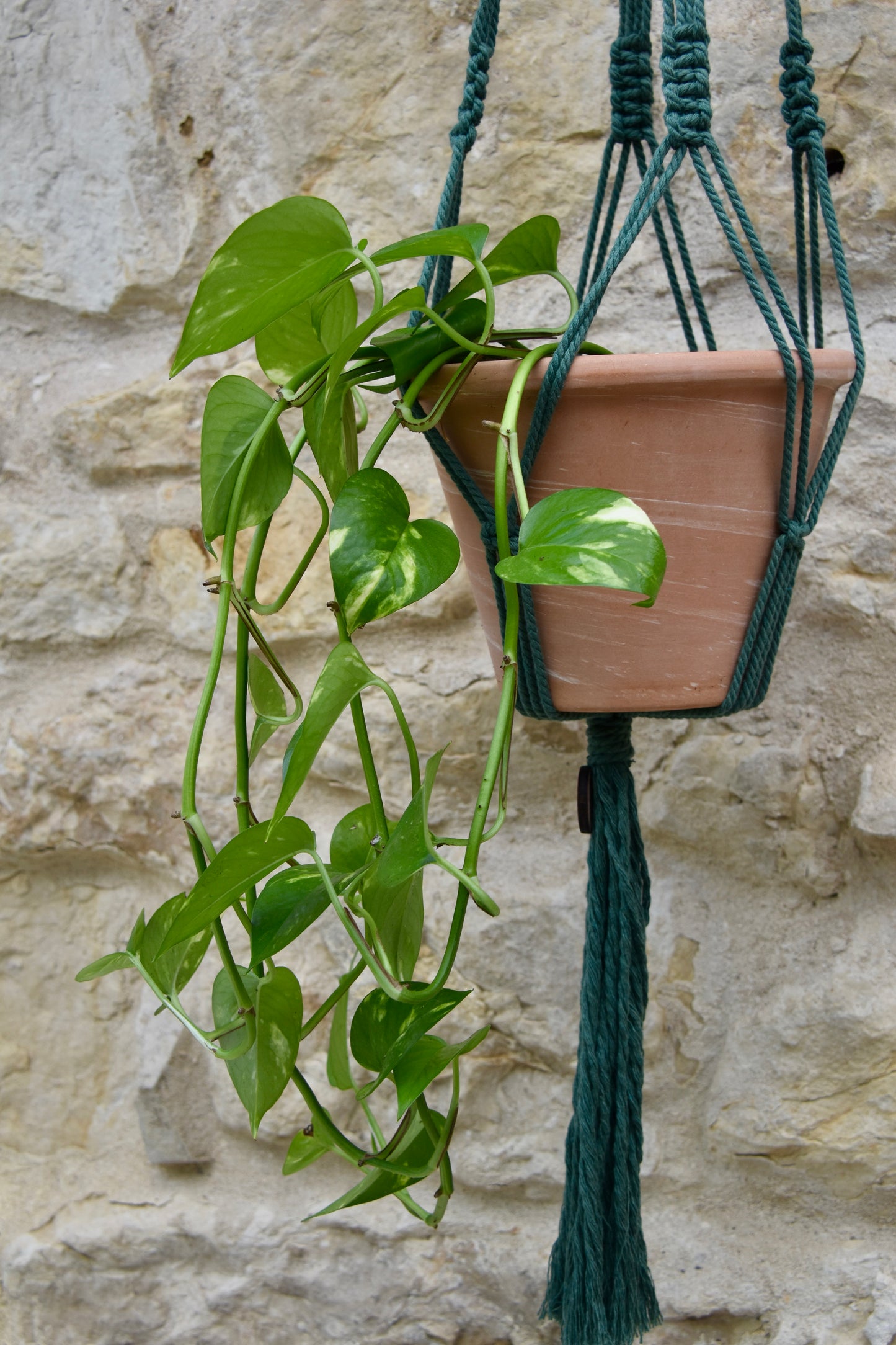 Suspension en macramé pour plantes