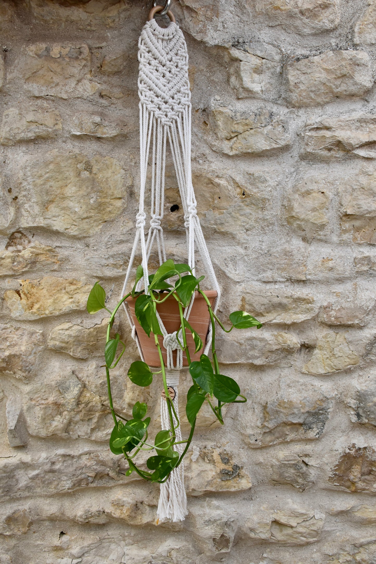 Suspension en macramé pour plantes